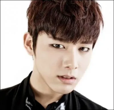 Qui est le leader vocal de C-Clown ?