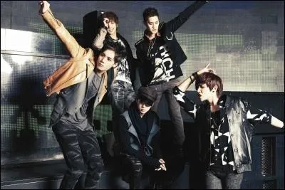 De quel groupe est-il le leader vocal ?