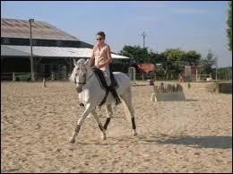 Quelle est cette figure de dressage ?