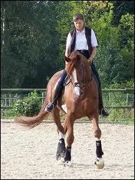 Quelle est cette figure de dressage ?