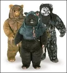 Ces petits bonshommes ont l'air tout doux avec leur fourrure, mais ils ont des lances et sont aussi des guerriers. Ils vivent sur la lune frestire d'Endor, ce sont ?