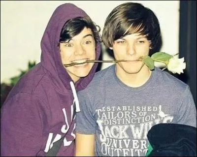O Harry et Louis se sont t'ils rencontrs ?