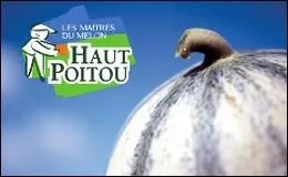 La plus ancienne IGP de melon dlivre par la commission europenne est celle du Haut Poitou (1998). depuis 2 sont venues la rejoindre. Quel est l'intrus ci-dessous ?