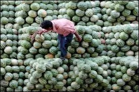 55% des melons sont Chinois (15 millions de tonnes). En Europe c'est juste un peu plus de 2 tonnes qui sont produites. Qui est le plus gros producteur Europen ?