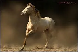 Que me dire sur leur mmoire ? (2 rponses)