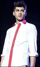 Quand Zayn est-il n ?