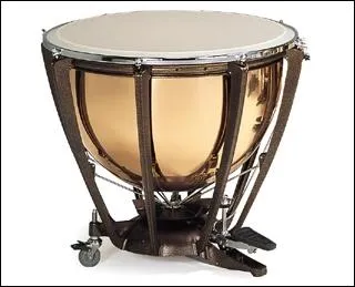 Quel est cet instrument ?