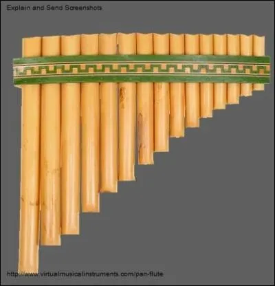 A quel groupe appartient cet instrument ?