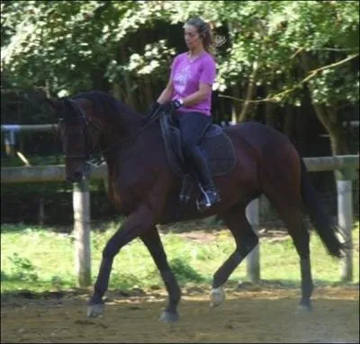 De quel cot monte-t-on sur un cheval ?