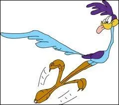 Qui est ce Road Runner ?