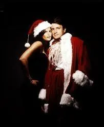 Encore une srie TV  succs pour ce couple de pres nol, compos de Nathan et de Stana. Quelle est la srie ?