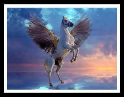 Des trois chevaux les plus clbres lequel appartenaient  don Quichotte ?