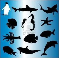 Lequel de ces animaux possde 5 bras, et sort son estomac pour dvorer les moules ?