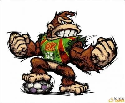 Quel Joueur est le plus grand ?