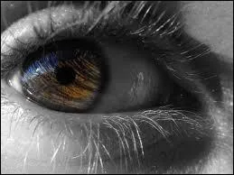  Tes yeux, ces miroirs, me font paratre beau . Il s'agit d'une :