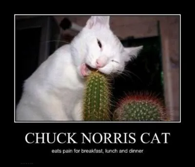 Les cactus : Trouvez la proposition incorrecte...