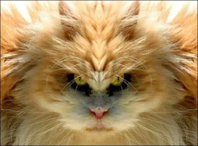 Dark Vador : Trouvez la proposition incorrecte...