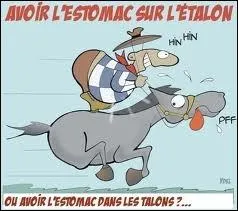 Si vous avez l'estomac dans les talons :