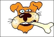 Avec tous ces piges, si vous tes tomb sur un os :