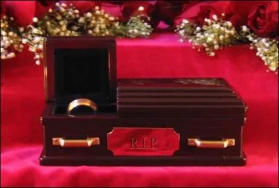 Pour couronner le tout voici le cercueil Alliance. Une firme l'a lanc aux tats-Unis, mais pourquoi ?