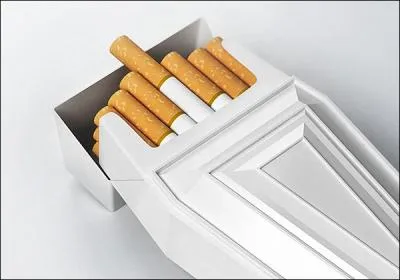 Ce cercueil est destin aux fumeurs avertis et futurs fumeurs, je suppose. Une autre question toute bte : combien de cigarettes contient-il ?