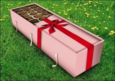 Voici le cercueil idal pour mourir ...