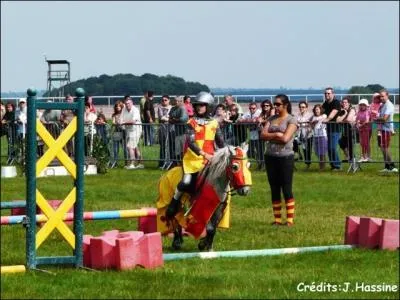 Que pratique cet enfant avec son poney ?