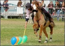 Et eux, que font-ils ?