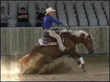 Que font cette personne et son cheval (photo prise dans mon centre questre) ?