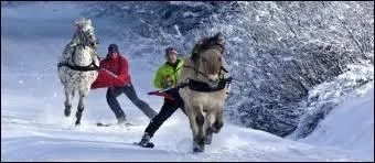 Quelle discipline pratiquent-ils ?