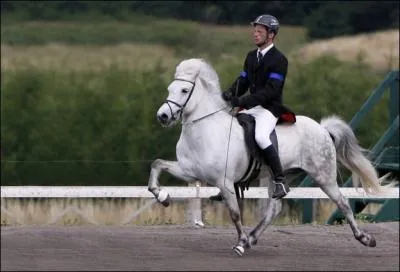 Et pour finir : Que pratique-t-il ?