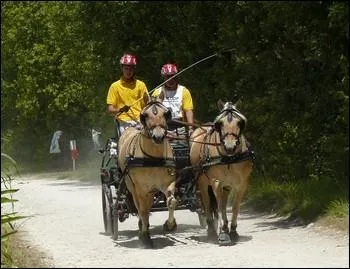 Et cette autre discipline ?