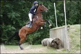 Que fait ce couple ?