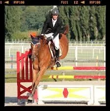 Que pratiquent-ils ?