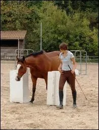 Que fait cette femme avec son cheval ?