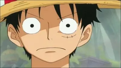 Quel est le nom du fruit du dmon, que Luffy a mang ?