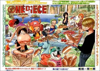 Quel est le nom de l'quipage de Luffy ?