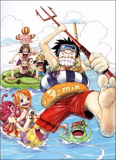 Qui est l'idole de Luffy