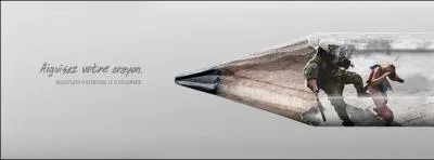 Au Canada il existe diffrentes sections comme par exemple un rseau  Femme  et un rseau  conomie et droits de l'homme  ?