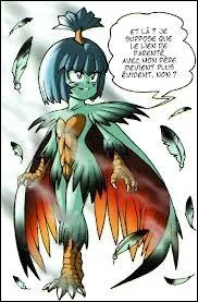 De quelles couleurs les plumes de Shun Day sont-elles ?