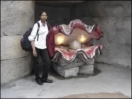 La variété d'huitre "pied-de-cheval" est la plus grosse. Quelle poids record peut-elle atteindre ?