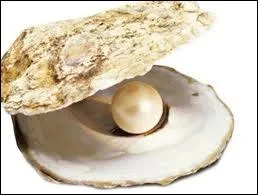 Quand on ne les mange pas, que peuvent produire certaines huitres ?