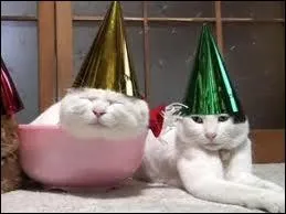 Que se lance-t-on à minuit le 31 décembre ?