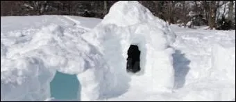 Pour un réveillon vraiment insolite, les Gîtes de France proposent de le passer en vallée d'Aspe dans ...
