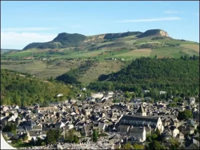 La ville de Marvejols o vous verrez une statue du roi Henri IV ainsi qu'une statue de la bte du Gvaudan est situe dans :