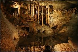 Les grottes et cavernes sont lgion en Belgique. Elles sont situes sur une rivire. Quel cours d'eau coule aux grottes de Han ?
