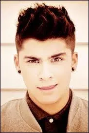 Zayn a fait ses tudes  :