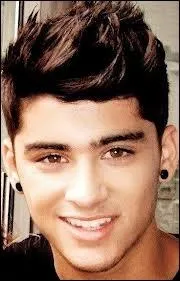 Quelle chanson Zayn a-t-il interprt pour son audition ?