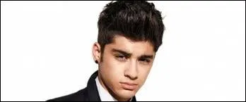 Zayn est un :