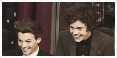 Quelle est la bromance Louis et Harry ?